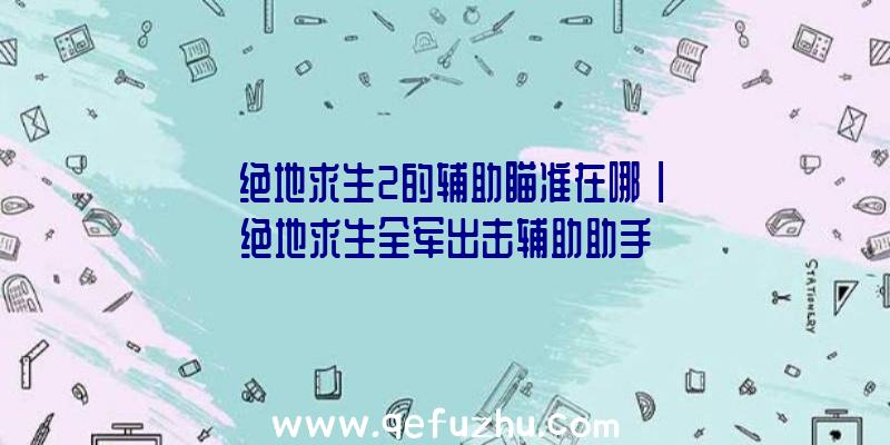 「绝地求生2的辅助瞄准在哪」|绝地求生全军出击辅助助手